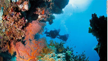 Great Barrier Reef