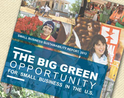 Green Small Business Study