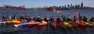 Shell Kayakers