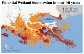 Louisiana Wetlands Future