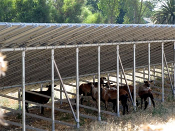 Solar at Lundberg Farms