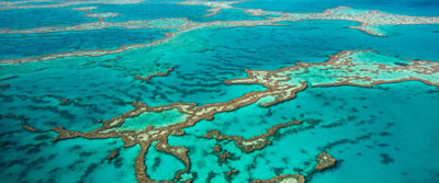Coral Reef spawning