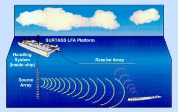 Navy sonar