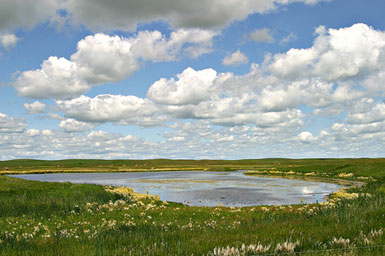 Prairie Pothole Region, North Dakota