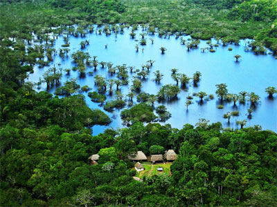 Amazon Cuyabeno Wildlife Preserve Ecuador