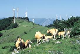 Wind Farm Spain