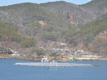 Solar South Korea