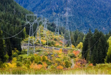 Transmission Conservation
