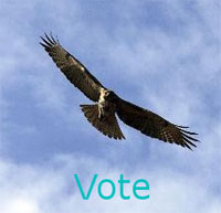 Climate Hawk SuperPAC