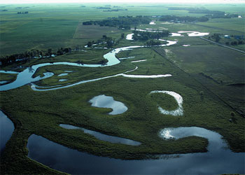 Midwest Wetlands