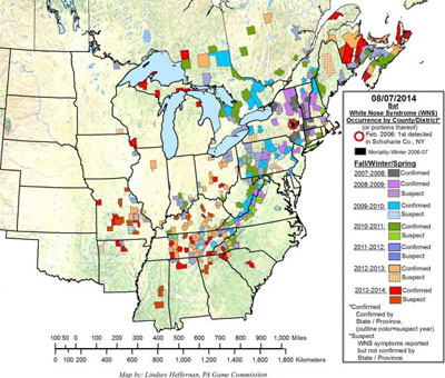 Bats White-Nose Map 2014