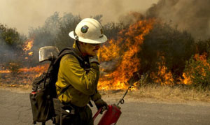 Wildfire