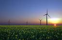 Wind Biofuels