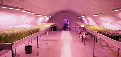 Urban Farm London Underground